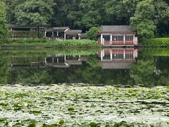 -荔湾湖公园