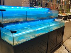 -太湖饭店玉兰厅(自助餐厅)