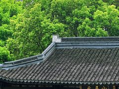 -上海佘山国家森林公园天马山园