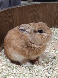 -Zoolung Zoolung动物主题公园(海信广场店)