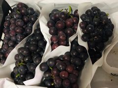 -南京众彩农副产品配送有限公司