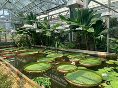 -国家植物园南园