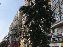 -曼哈顿商业广场(升龙广场店)