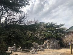 -南山公园