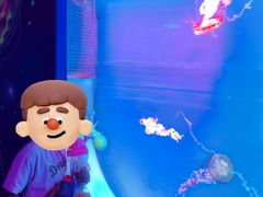 -多彩贵州城极地海洋世界