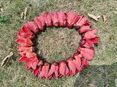 -中国移动南方基地