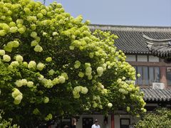 -常熟方塔园