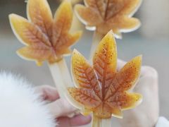 -田野绿世界