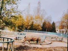 -哈尔滨北方森林动物园