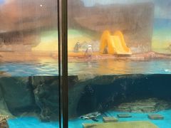 -海合安武汉极地海洋公园