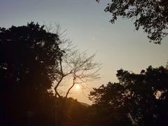 -梧桐山风景名胜区