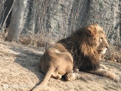 -北京野生动物园