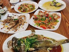 清蒸石斑鱼-板桥海鲜广场(文明东店)
