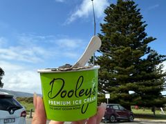 -Dooley's Premium Ice Cream