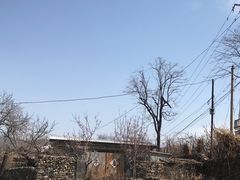 -水峪民俗村