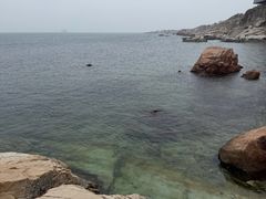 -养马岛旅游度假区