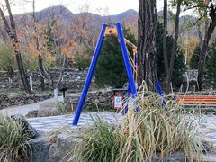 -阳台山自然风景区