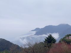 -含鄱口