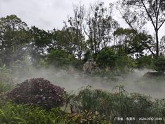 -东莞植物园