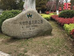 -溱湖国家湿地公园