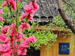 -春风习习