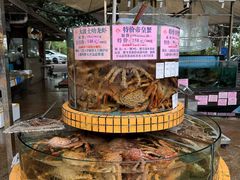 -荔城生鲜盛宴(番禺旗舰店)
