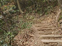 -杭州半山国家森林公园