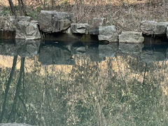 -穹窿山景区