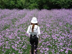 -云峰山自然风景区