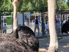 -长白岛森林公园