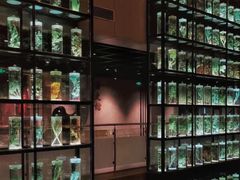 -广东中医药博物馆