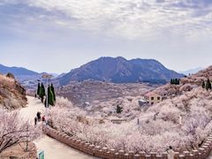 -崂山九水游览区