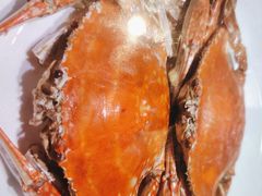 -海鲜e族(马王堆店)