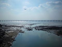 -宝安西湾红树林湿地公园