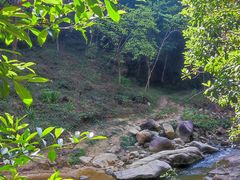 -广州白江湖森林公园