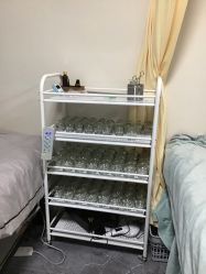 -苗塑堂减肥艾灸