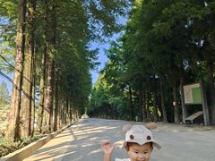-山王坪喀斯特国家生态公园