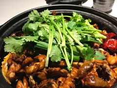 -友黔蛙(吉大店)
