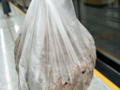 -杨招娣糕点(装驾桥巷店)