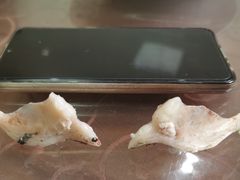 -天目湖刘老四农庄
