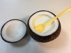 -志龙皇冠吃货椰子铺