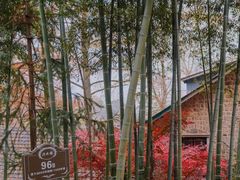 -莫干山风景区