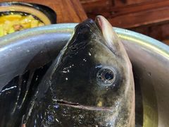 -好灶头妈妈菜·柴火灶台鱼·千岛湖土菜地标美食