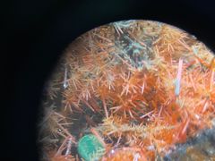 -湖南省地质博物馆