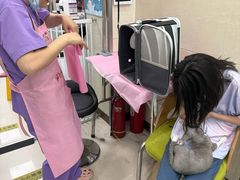 -北京观赏动物医院·24小时大型综合·猫专科·异宠专科