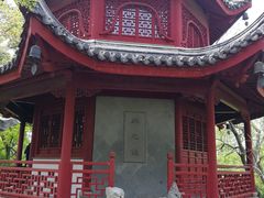 -汇龙潭