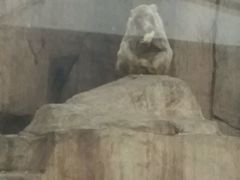 -临沂动植物园