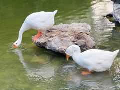-祝家花園(伯渎港店)