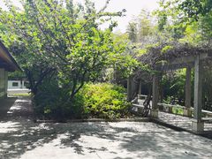 -求雨山文化公园