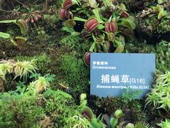 -国家植物园南园
